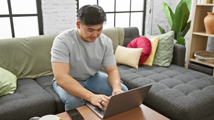 年轻的亚洲男子在舒适、现代的公寓客厅里使用笔记本电脑，客厅里有五颜六色的靠垫