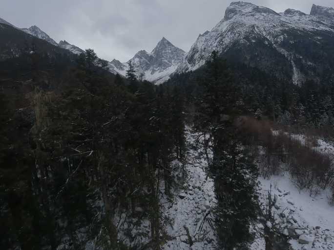 冬天毕棚沟雪景fpv穿越机航拍阿坝州雪山