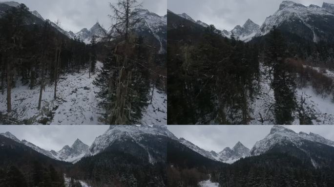 冬天毕棚沟雪景fpv穿越机航拍阿坝州雪山