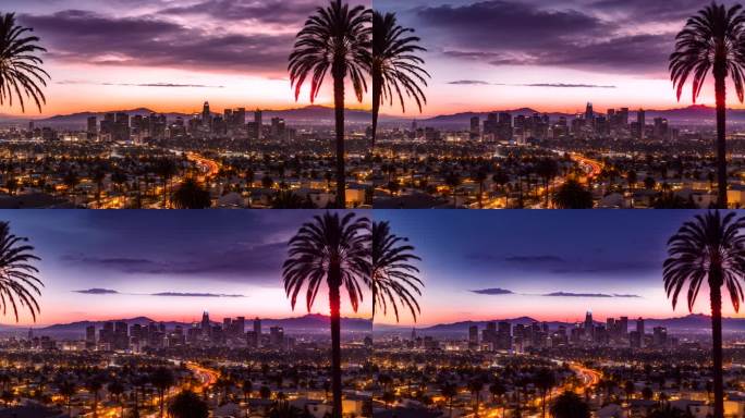 洛杉矶市中心前景是棕榈树