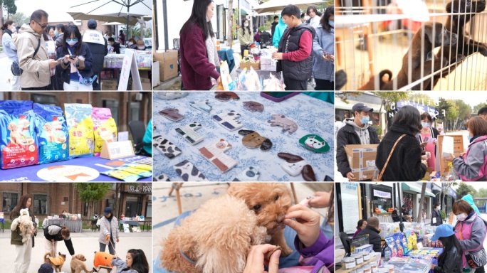 宠物市场集市宠物交易猫狗领养市场买卖宠物