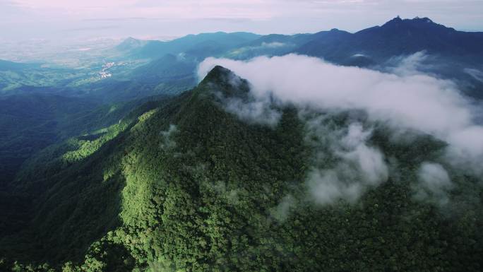 尖峰岭云海