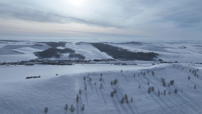 呼伦贝尔疏林雪原风光