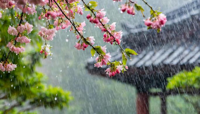 清明 清明节气 谷雨 雨水春天