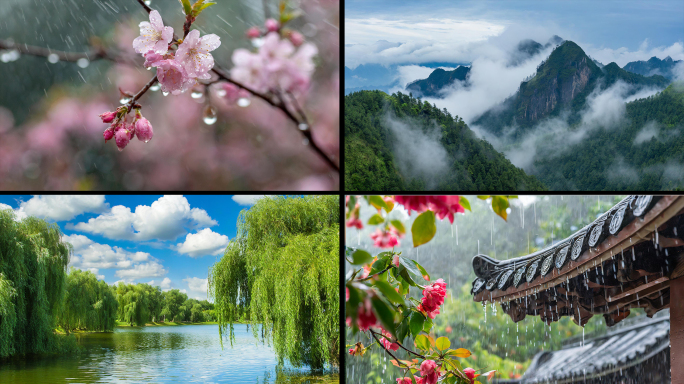 清明 清明节气 谷雨 雨水春天