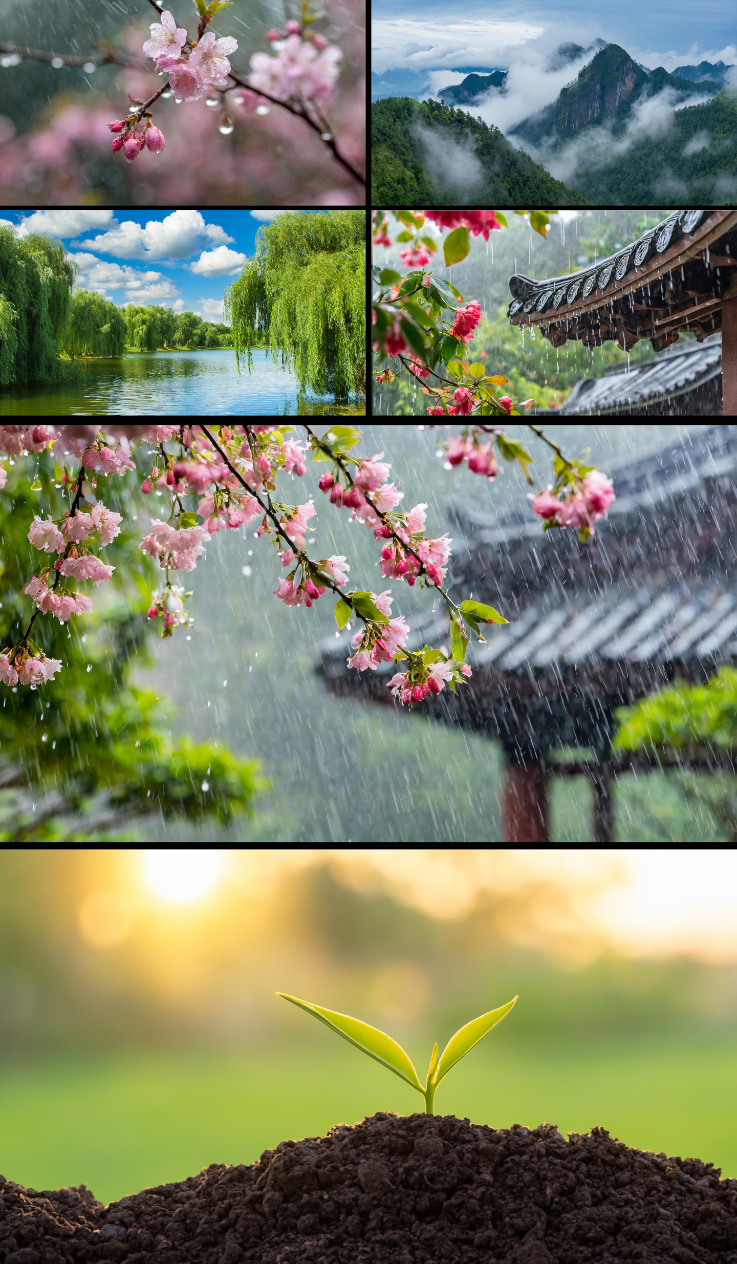 清明 清明节气 谷雨 雨水春天