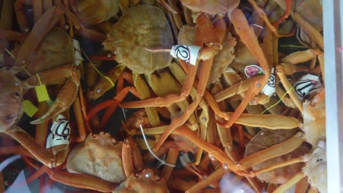 日本海鲜店的冰缸里新鲜的活水蟹