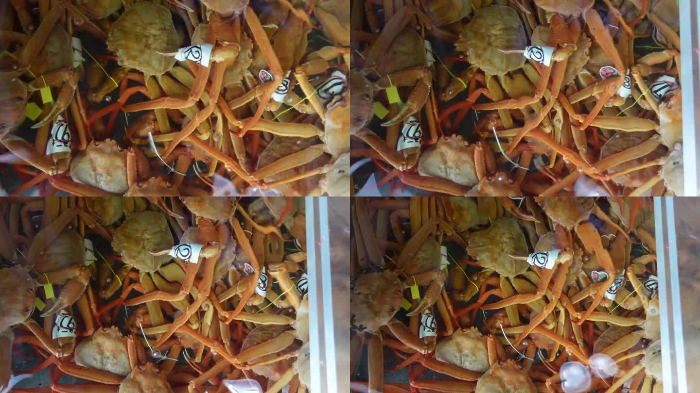 日本海鲜店的冰缸里新鲜的活水蟹