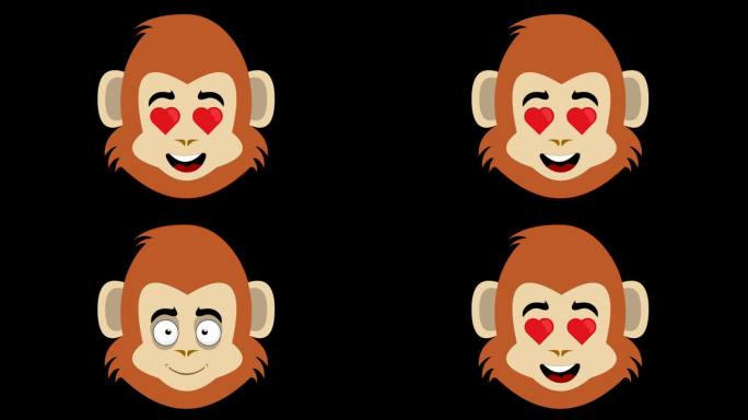 视频动画头猴，灵长类动物或黑猩猩卡通爱心眼