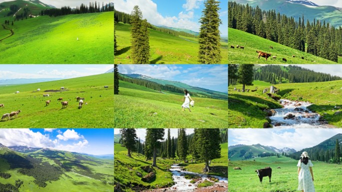 新疆伊犁草原那拉提风景