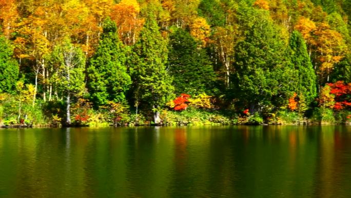 宁静的山间湖与秋叶:木户式池塘