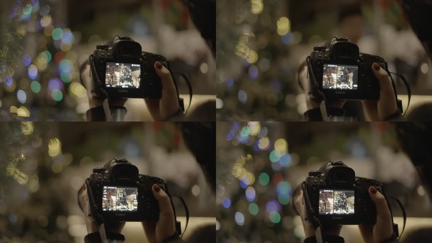 手持相机 拍摄 圣诞树
