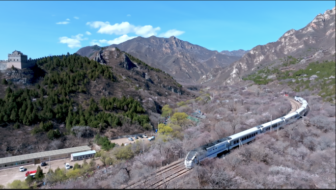 航拍4K北京居庸关花海列车开往春天的列车