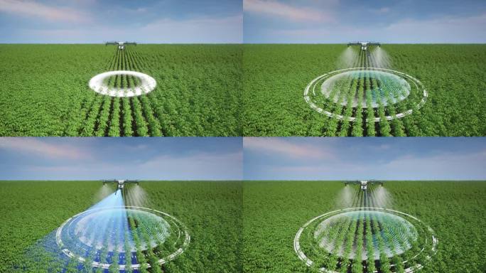 农业无人机利用激光雷达扫描在番茄田喷洒肥料，创新智能农业概念
