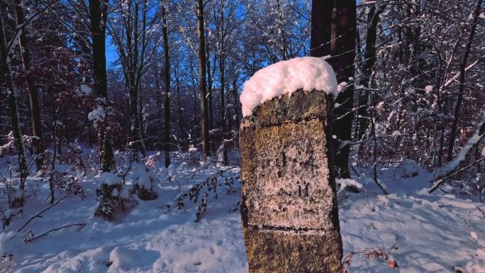 一个小方尖碑的特写镜头，它戴着一顶雪帽，独自矗立在积雪的森林里，上面的文字难以辨认