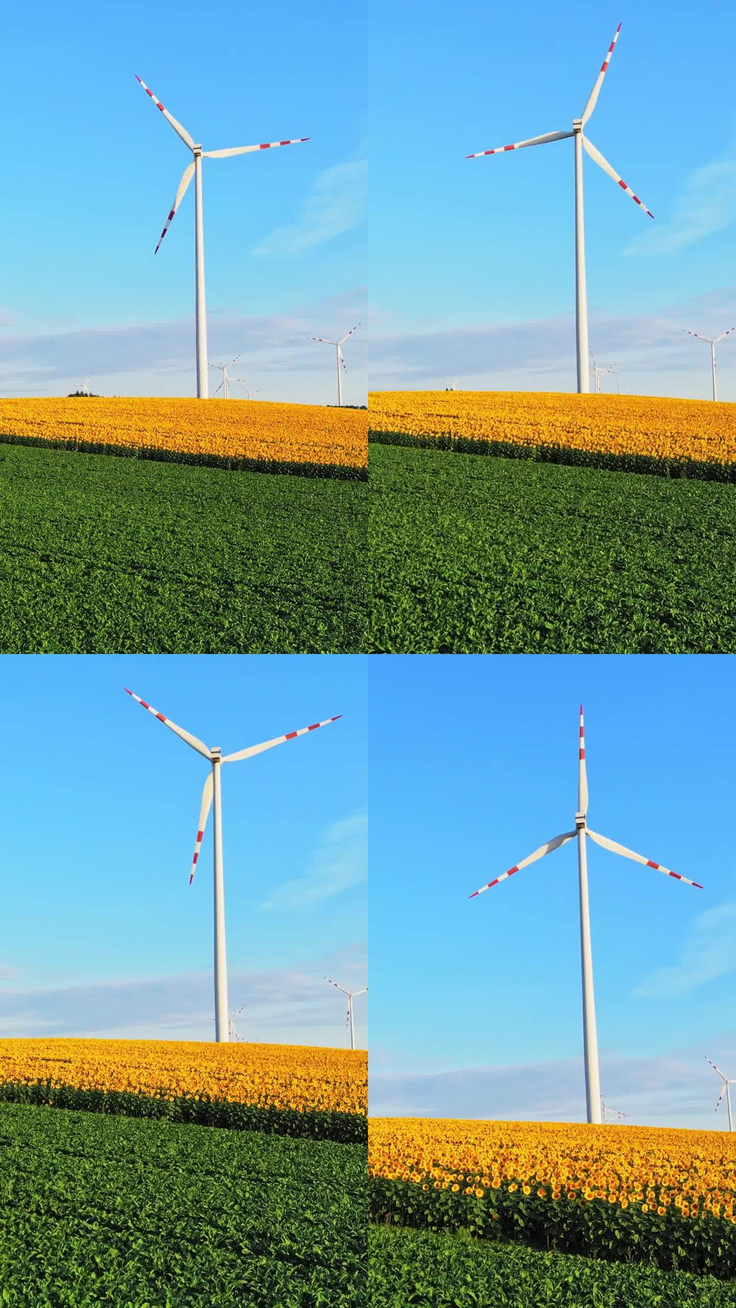 更新的空中领域:风力涡轮机在摩拉维亚农业赏金中旋转