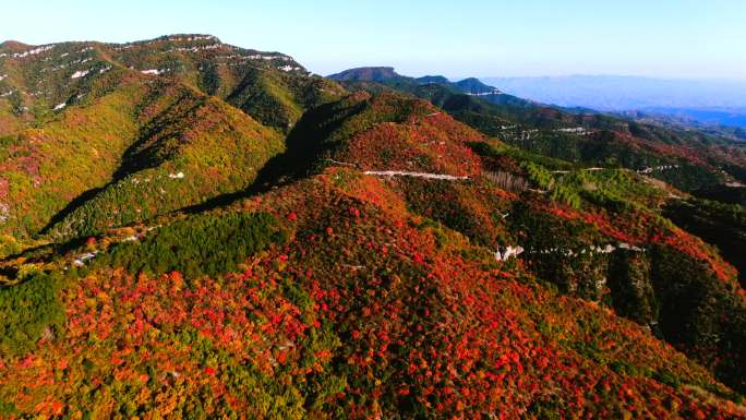 枫叶山10