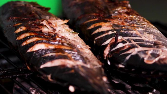 亚洲食品。烤架上两只烤鲣鱼的特写。Katsuwonus pelamis