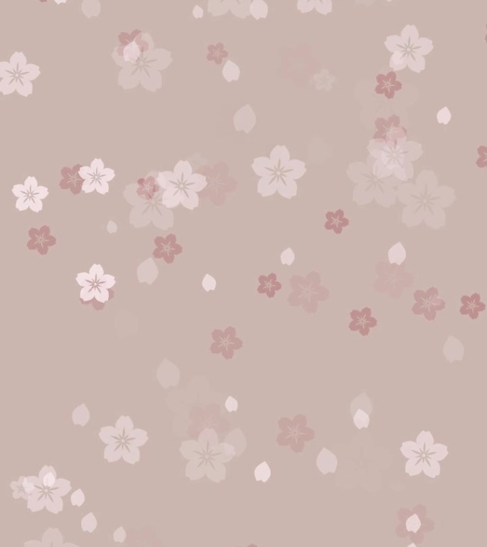 樱花花瓣落在米色的背景上