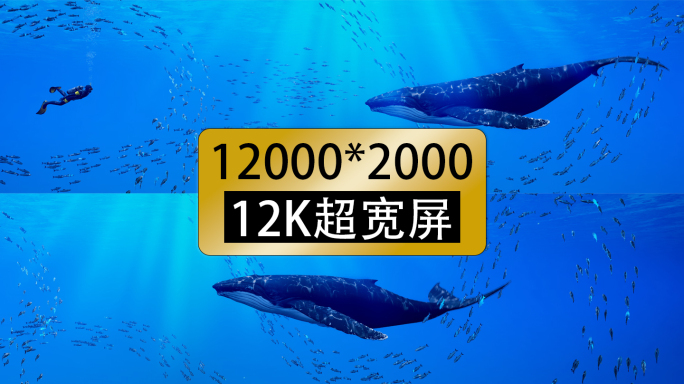 12k海底世界