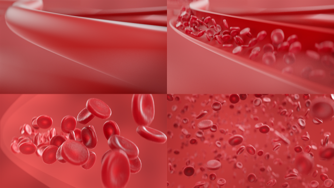 红细胞在血管流动三维动画C4D+AE工程