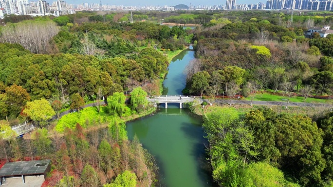 4K高清航拍苏州昆山市城市生态森林公园