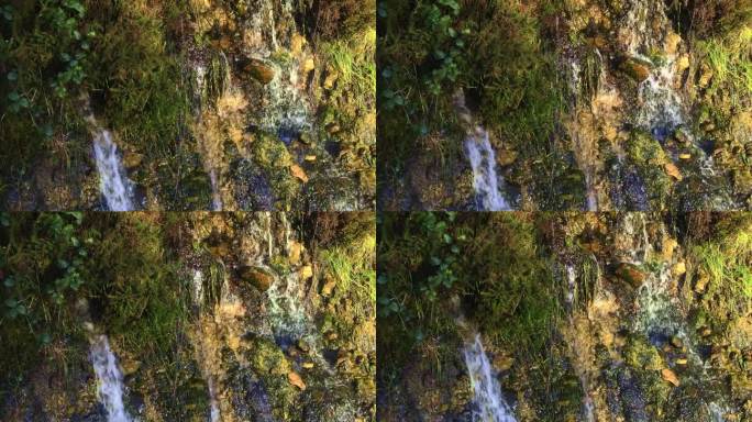 一条小瀑布从长满青苔的岩石上倾泻而下，周围是绿色的植被。