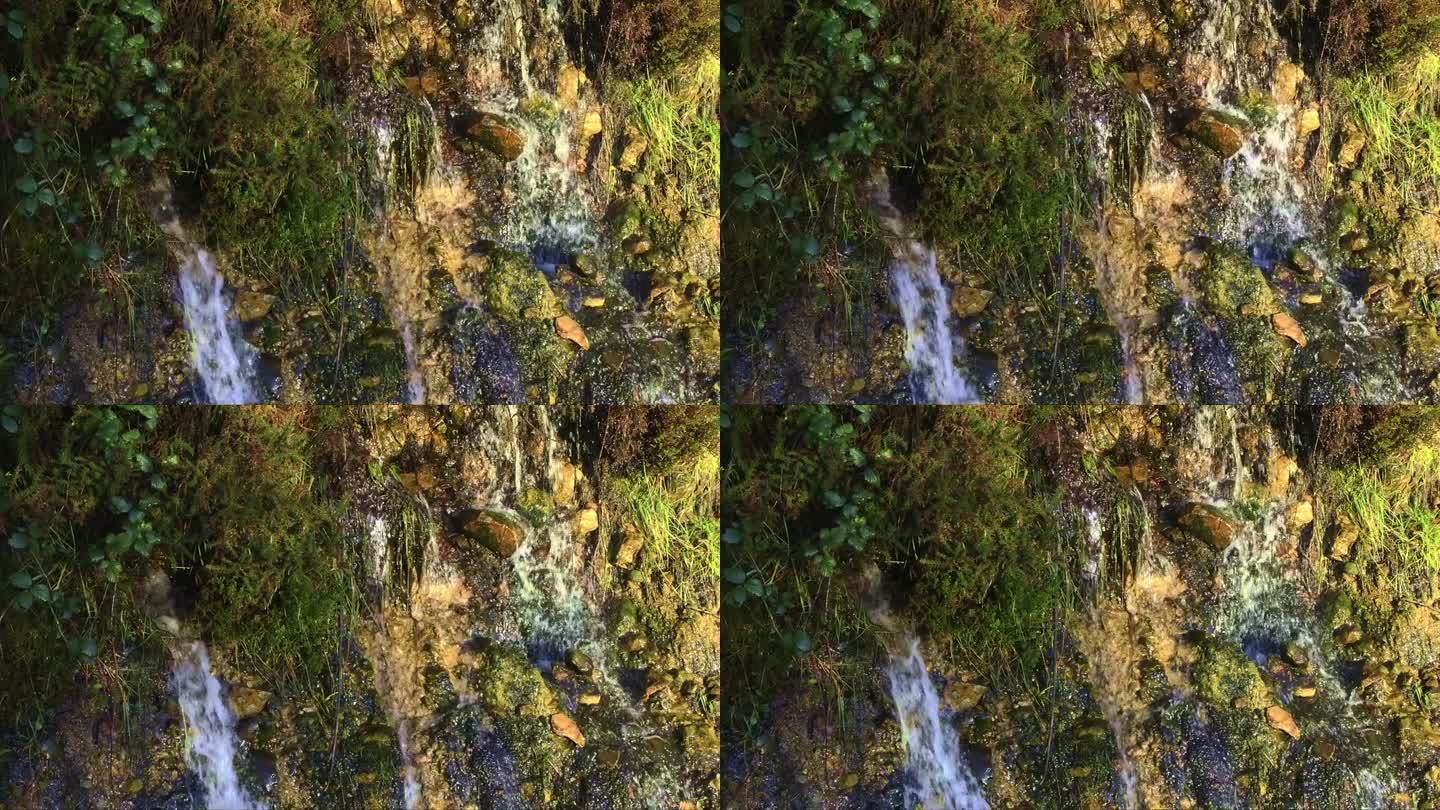 一条小瀑布从长满青苔的岩石上倾泻而下，周围是绿色的植被。