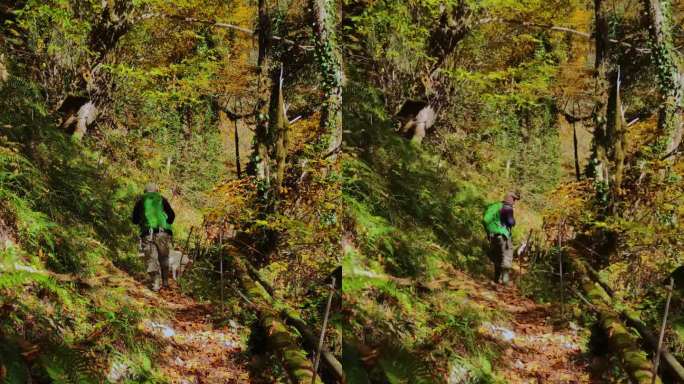 在秋高气爽的日子里，一位高加索老人带着他的狗在山林里散步