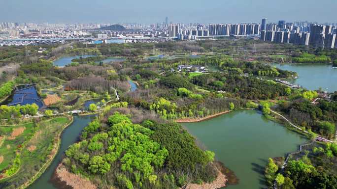 4K高清航拍苏州昆山市城市生态森林公园