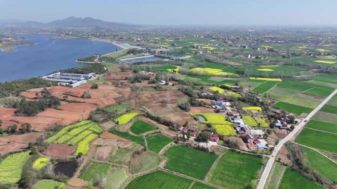 春天的田野和乡村