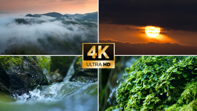4k航拍原始森林风景自然日出云海溪流苔藓