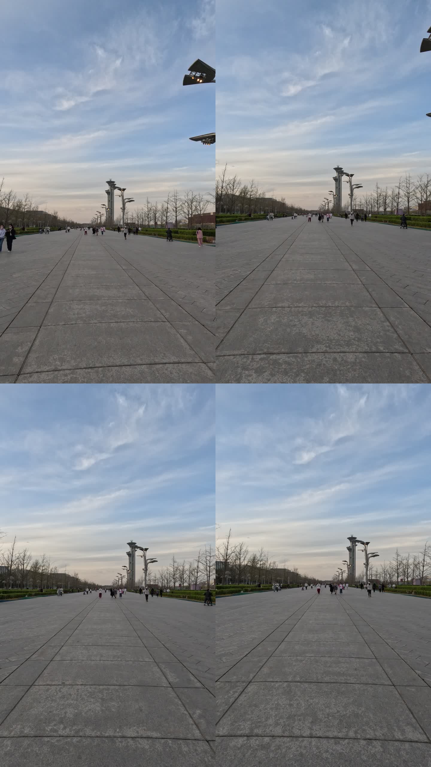 北京奥林匹克塔生命之树大钉子奥森标志建筑