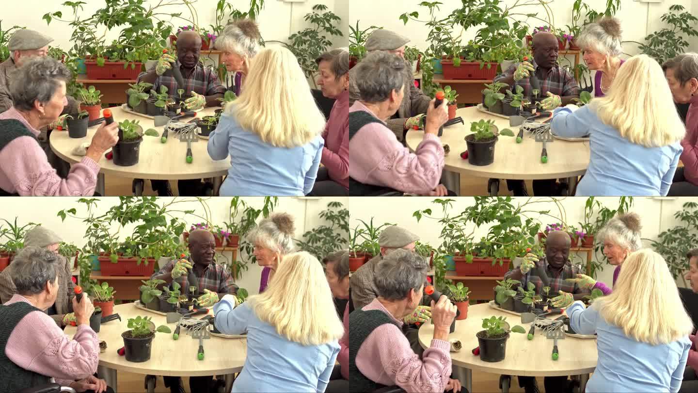 退休的领养老金的人一起在温室里种花