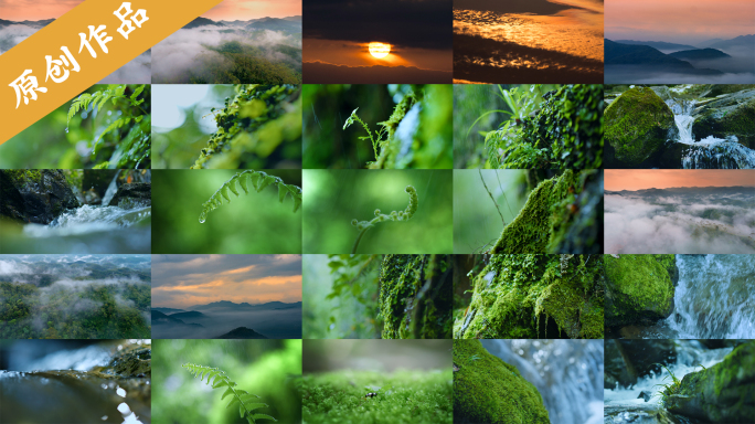 森林群山云海热带雨林生态山泉水自然集合