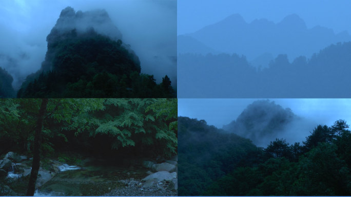 意境山水森林大自然溪水雨风景树林雾禅意