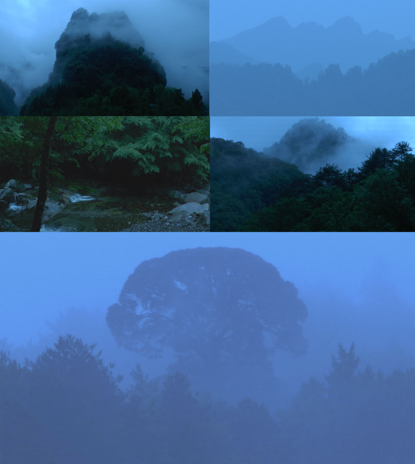 意境山水森林大自然溪水雨风景树林雾禅意