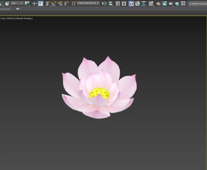 3dmax2021版本花开模型特效素材