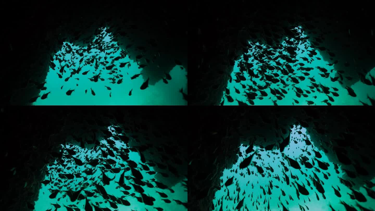 一个充满小鱼的深海洞穴的奇妙景色。
