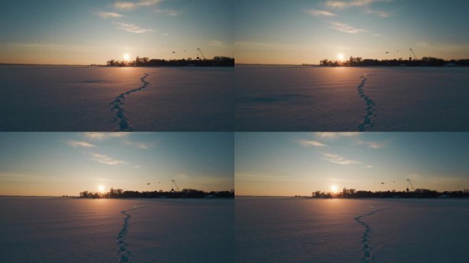 阳光明媚的冬天，洁白的雪上留下的脚印，冰雪覆盖的湖面上留下的动物脚印
