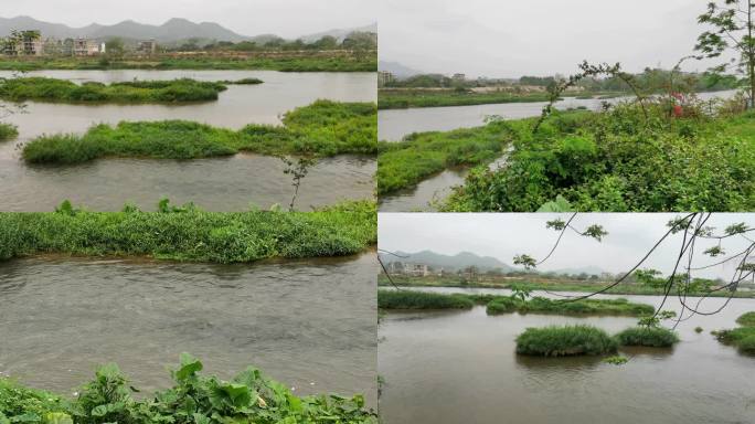 清澈河流江河