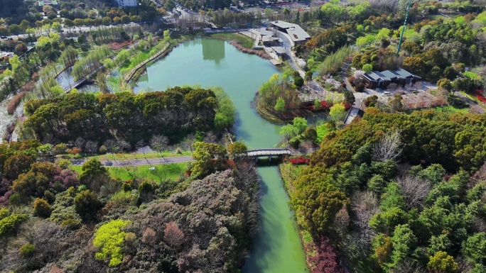 4K高清航拍苏州昆山市城市生态森林公园