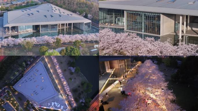 杭州良渚文化艺术中心大屋顶樱花季日夜航拍