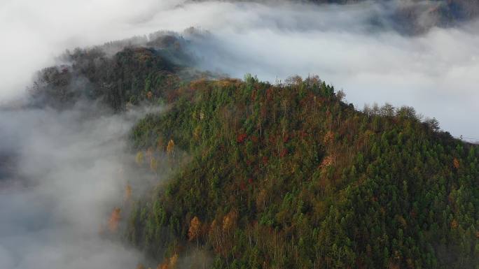 4K航拍皖南318坡山村