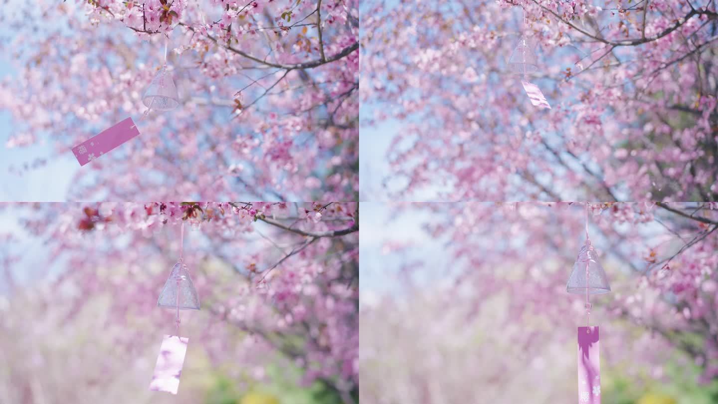 春天 风铃 花瓣 花瓣雨 小清新空镜 风