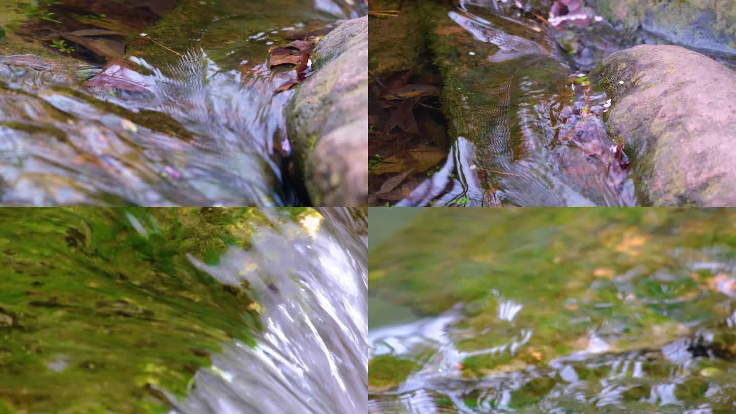 杭州植物园小溪流水风景视频素材40