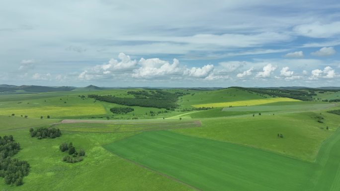 森林草原过渡带自然风景