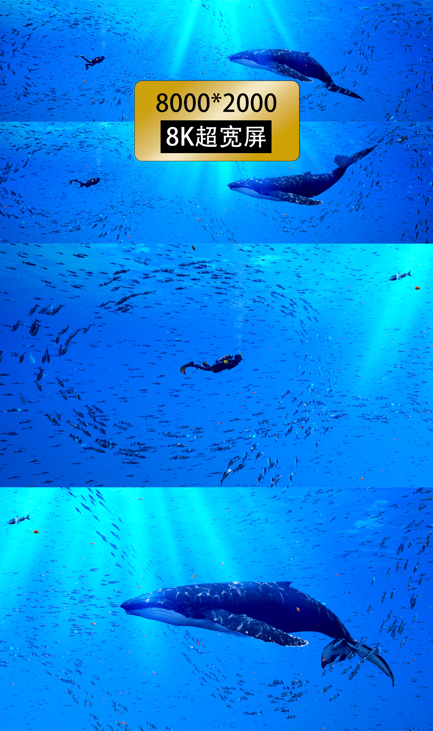 8k宽屏海底世界鱼群粒子