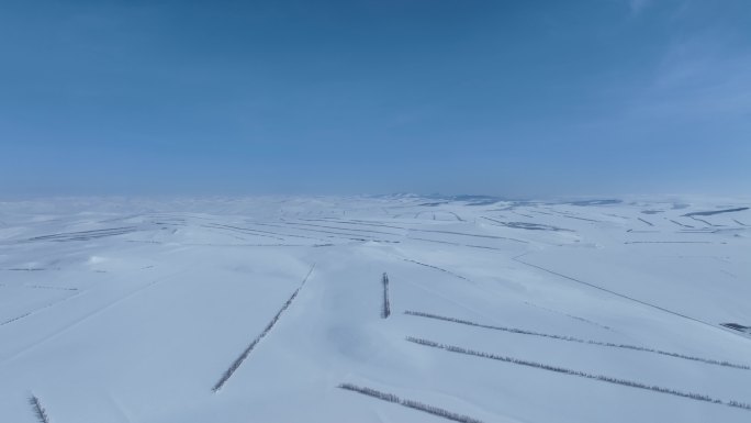 呼伦贝尔垦区雪原风光