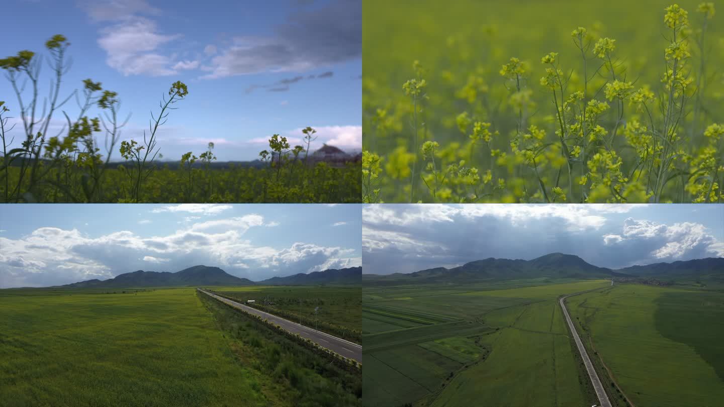 内蒙古巴林左旗油菜花草原公路航拍空境合集